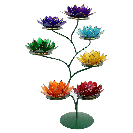 Chakra Lotus Display grün