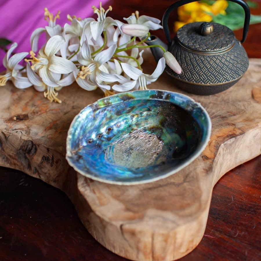 Abalone Muschel auf Holz mit Blumen und Teepott