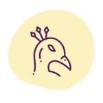 Der Prunkvogel