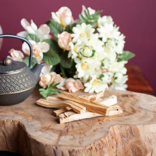Palo Santo Verbrennen: 5 Anwendungen des Heiligen Holzes
