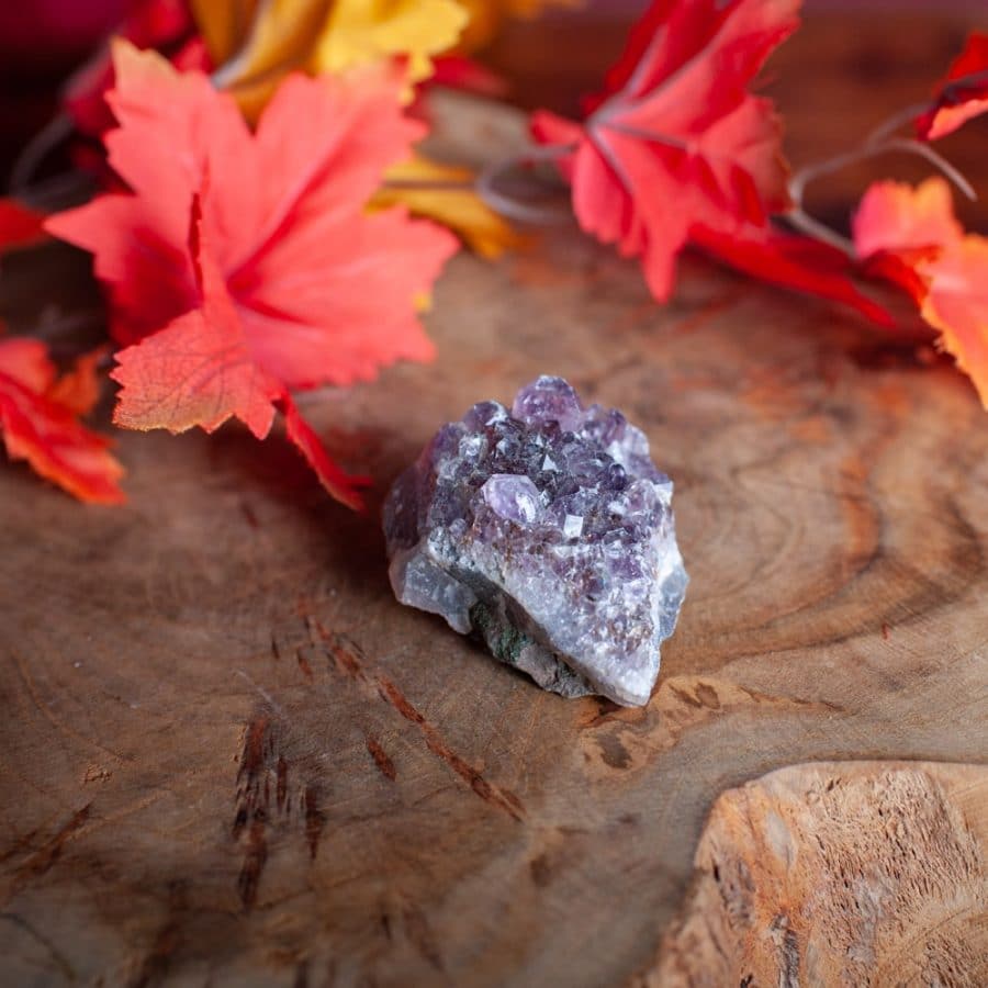 Amethyst Edelstein auf Holz mit roten Herbstblättern