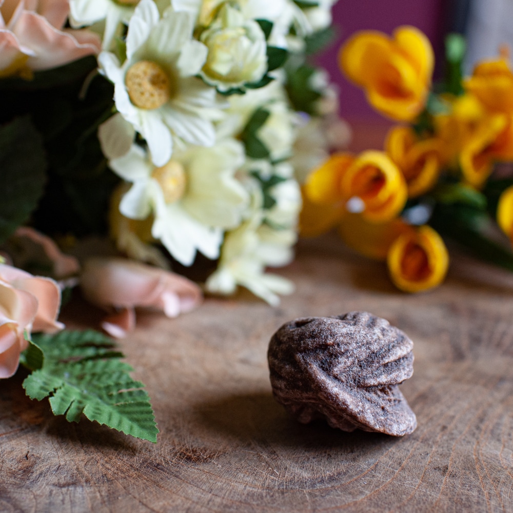 Wie entstehen Edelsteine Wüstenrose auf Holz mit Blumen