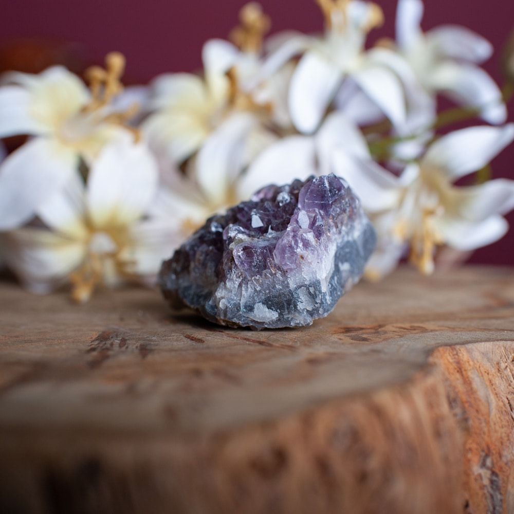 Entstehung edelsteine Amethyst geode auf holz vor weißen Blumen