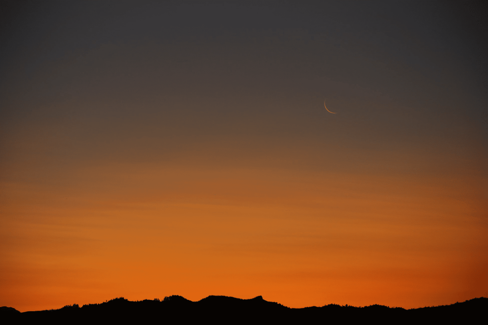 Neumond